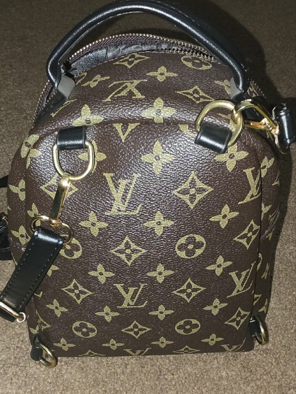 Mini Backpack with Gold Hardware - Picture 6 of 8